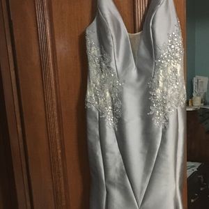 Jaw dropping gown sz14